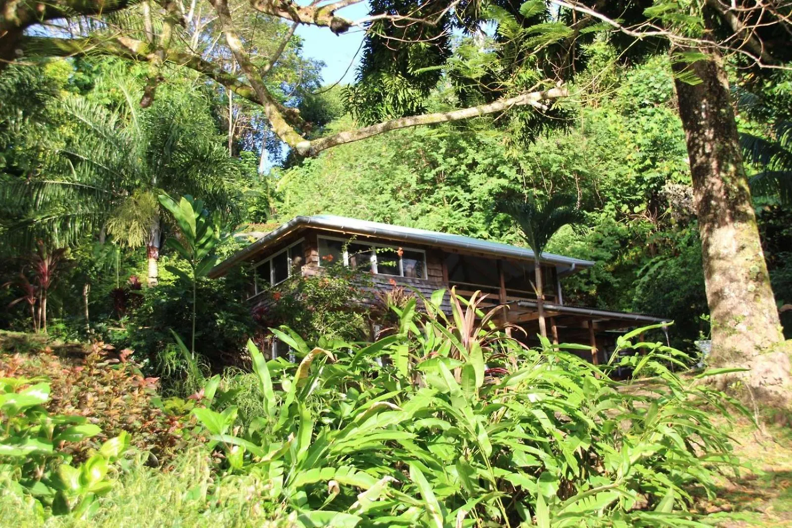 Huahine Manta Lodge Avec 4X4 Optionnel Haapu 法属玻利尼西亚