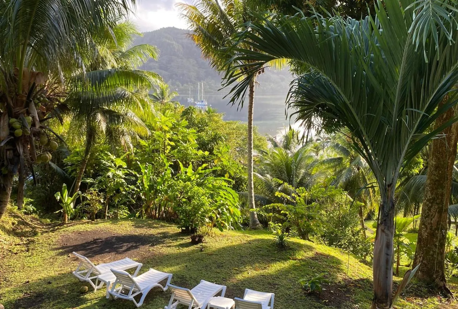 Huahine Manta Lodge Avec 4X4 Optionnel Haapu